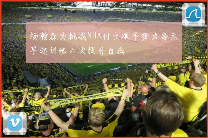 杨瀚森为挑战NBA付出艰辛努力每天早起训练六次提升自我